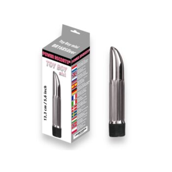 Toy Boy Mini Bullet Vibrator-Sølv